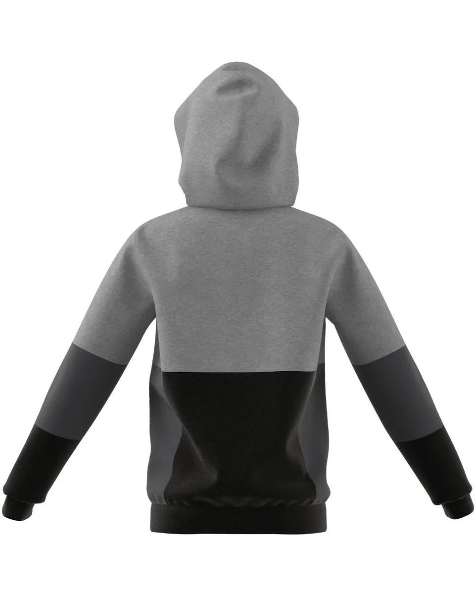 Sweatshirt à capuche garçon Enfant U CB HOODIE Gris